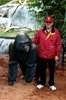 2001 02 11 Gorilla and Dave