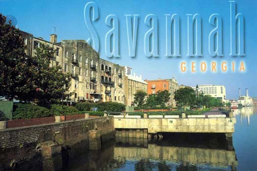 Savannah Postcard